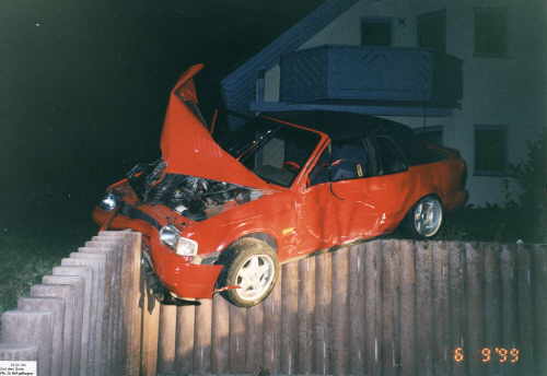 niedern1.jpg (15920 Byte)